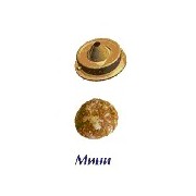 Форсунка Мини